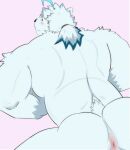  2021 absurd_res anthro anus blush butt fongu fur hi_res knights_college male mammal paul_(knights_college) polar_bear solo ursid ursine video_games visual_novel white_body white_fur 