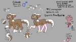  blood bodily_fluids brown_body brown_fur canid canine clothing collar electricblueruby fennec feral fox fur glaze_(electricblueruby) happy hi_res leggings legwear male mammal markings model_sheet pawpads silver_eyes smile solo stockings tears teeth tongue 