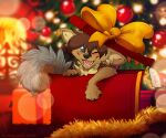  box brown_body brown_fur brown_hair canid canine canis christmas corsac_fox fox fur gift green_eyes hair hi_res holidays inner_ear_fluff magenta7 male mammal meani solo tuft wolf 