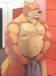  2021 anthro arufina_w belly brown_body brown_fur canid canine canis domestic_dog fur kemono male mammal moobs nipples overweight overweight_anthro overweight_male solo towel 