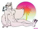  2021 abstract_background animal_genitalia anthro athletic athletic_anthro athletic_male balls canid canine eyewear fox fully_sheathed genitals hair kihu male mammal navel nipples nude palm_tree plant sheath sitting solo sunglasses tree vaporwave 