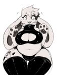  2021 anthro big_breasts black_body black_bottomwear black_clothing black_fur black_pawpads black_spots black_topwear bottomwear breasts bulge cleavage cleavage_cutout clothed clothing digital_drawing_(artwork) digital_media_(artwork) eyebrows eyeliner fluffy fur glistening glistening_clothing grey_body grey_fur gynomorph hi_res intersex lagomorph latex_bottomwear latex_stockings latex_topwear latex_underwear legwear leporid long_ears looking_at_viewer makeup mammal navel open_mouth pawpads pukemilked rabbit simple_background slightly_chubby solo spots surprise thick_thighs thigh_gap thigh_highs topwear white_background white_eyes wide_hips 