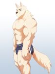  anthro biceps black_nose boxers_(clothing) bulge canid canine canis clothing domestic_dog fur fur_tail green_eyes hi_res howtomofu looking_at_viewer male mammal muscular muscular_anthro muscular_male press smile solo underwear white_body white_fur 