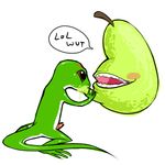  4chan fruit gecko inanimate lol_wut meme pear the_biting_pear_of_salamanca 
