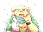  2021 anthro bodily_fluids canid canine canis cherry_blossom clothing cu_sith_(tas) domestic_dog hoodie humanoid_hands kemono male mammal noichi_53 overweight overweight_anthro overweight_male plant scar scarf solo tears tokyo_afterschool_summoners topwear video_games 