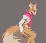  anthro barely_visible_genitalia bent_leg big_tail black_nose bottomless bottomless_male canid canine claws clothed clothing drawstring facial_markings fluffy fox fox_mccloud fur genitals grey_background head_markings hoodie lawyerdog leg_tuft looking_aside male mammal markings navel neck_tuft nintendo nipples penis pink_clothing pink_hoodie pink_topwear simple_background sitting skimpy snout solo star_fox tan_body tan_fur topwear tuft video_games whiskers white_body white_clothing white_fur white_hoodie white_topwear 