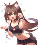  1girl :d ahoge animal_ear_fluff animal_ears arms_up artist_name bangs bare_shoulders bell black_shorts breasts brown_hair cat_cutout cat_ears chiiririn cleavage cleavage_cutout clothing_cutout collarbone commentary crop_top english_commentary fang fingernails green_eyes green_nails hand_up highres long_hair medium_breasts nail_polish navel neck_bell open_mouth original paw_pose short_shorts shorts sidelocks skin_fang smile solo stomach tail very_long_hair wrist_cuffs 