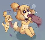  2021 animal_crossing anthro blush breasts canid canine canis collar collar_only dialogue disembodied_penis domestic_dog duo english_text fellatio female female_focus genitals hi_res humanoid_genitalia humanoid_penis isabelle_(animal_crossing) male male/female mammal multi_nipple newd nintendo nipples nude oral penile penis sex shih_tzu size_difference solo_focus text toy_dog video_games 