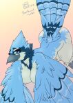  2018 anthro ass_up avian beak bearbox_doodletimes bent_over big_breasts big_butt bird black_body black_feathers blue_body blue_eyes blue_feathers blue_jay breasts butt corvid curvy_figure dated digital_media_(artwork) eyelashes feathered_wings feathers female front_view gradient_background grey_beak hi_res jay_(bird) looking_at_viewer multicolored_body multicolored_feathers new_world_jay non-mammal_breasts nude oscine passerine pinup pose raised_tail scutes signature simple_background smile solo tail_feathers tan_background thick_thighs white_body white_feathers wide_hips wings 