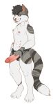  anthro breasts dildo domestic_cat doubt_(kittbites) felid feline felis female genitals harness hi_res humanoid_dildo kingparked looking_at_viewer mammal pussy sex_toy small_breasts solo strapon tongue tongue_out 