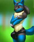  4:5 anthro big_bulge big_penis biped blue_body blue_fur bulge canid canine clothed clothing collar fur genitals hi_res huge_penis katarhein lucario male mammal nintendo penis pok&eacute;mon pok&eacute;mon_(species) red_eyes solo topless underwear video_games 