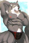  2021 abasirisippo abs anthro armpit_hair biceps blue_eyes blush body_hair bulge canid canine canis chest_tuft clothed clothing fangs fur grey_body grey_fur hand_behind_head hi_res male mammal muscular muscular_anthro muscular_male nipples pecs pinup portrait pose pubes quads sharp_teeth solo teeth three-quarter_portrait triceps tuft underwear underwear_only wolf 