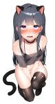  animal_ears bikini_top bottomless nekomimi rubyaano_(ducl323) see_through swimsuits tail thighhighs torn_clothes transparent_png 