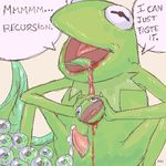  aki kermit_the_frog muppets tagme 