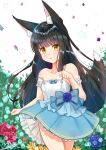  1girl alternate_costume animal_ear_fluff animal_ears azur_lane bangs bare_shoulders black_hair blue_dress blue_flower blue_rose blunt_bangs dress flower layered_dress long_hair looking_at_viewer m_ko_(maxft2) nagato_(azur_lane) red_flower red_rose rose signature solo thighs two-tone_dress white_dress yellow_eyes 