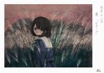  1girl bangs black_eyes black_hair blue_shirt blue_skirt border grass looking_at_viewer momo_walnut original plant sailor_collar shirt short_hair skirt solo upper_body white_border white_sailor_collar 