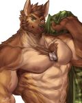  abs anthro biceps canid canine facial_hair fur hair hi_res male mammal muscular muscular_anthro muscular_male nipples pecs rabbity solo 