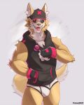  anthro black_clothing black_hoodie black_topwear briefs bulge canid canine canis cinnahipster clothing domestic_dog drawyourfursona hi_res hoodie hoodie/briefs_meme male mammal meme meme_clothing simple_background solo standing topwear underwear white_clothing white_underwear 