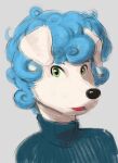  anthro blue_hair canid canine canis curled_hair domestic_dog george_(sunhuiz) green_eyes hair hi_res looking_at_viewer male mammal solo sunhuiz turtleneck_sweater white_body 