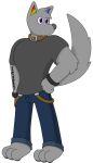  2018 alpha_channel anthro barefoot belt bracelet bulge canine clothed clothing collar digital_media_(artwork) english_text fur hair hi_res jewelry male mammal muscular muscular_male notkastar pose rainbow signature simple_background solo text wolf zatch_(character) 