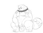  2021 anthro balls belly blush canid canine erection genitals gyobu hi_res kemono male mammal moobs nipples overweight overweight_male penis raccoon_dog ragnadope scar simple_background sketch solo tanuki tokyo_afterschool_summoners video_games white_background 