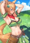  1girl animal_ears armpits arms_up belt belt_buckle bikini bikini_top blue_eyes blush breasts buckle cleavage closed_mouth day detached_sleeves grass green_bikini green_skirt gun handgun highres holster horse_ears horse_girl horse_tail large_breasts long_hair looking_at_viewer meadow navel orange_hair outdoors pistol ponytail red_scarf scarf short_sleeves skirt smile solar_(happymonk) solo star_(symbol) stomach swimsuit taiki_shuttle tail tying_hair umamusume weapon 