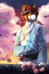  2018 absurd_res anthro canid canine cherry_blossom digital_media_(artwork) hi_res hybrid male mammal mizuki-chan plant solo text url 