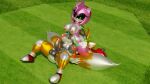  3d_(artwork) alternate_form amy_rose android anthro anus balls black_sclera blender_(software) breasts canid canine crossgender digital_media_(artwork) duo eulipotyphlan facesitting fox ftg_crossgender fti_crossgender genitals grass green_eyes gynomorph gynomorph_on_top hedgehog herm herm_on_bottom hi_res intersex intersex_on_bottom intersex_on_top machine mammal metal_amy metal_tails metallic_body miles_prower mth_crossgender mti_crossgender multi_tail nipples nude on_bottom on_top penis pink_body plant pussy robot sonic_the_hedgehog_(series) twintails3d yellow_body 