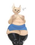  absurd_res aggressive_retsuko anthro belly black_eyes bottomwear breasts canid canine clothed clothing emberwick exposed_breasts female fennec fenneko fox hi_res legwear mammal navel nipples overweight overweight_anthro overweight_female sanrio simple_background skirt solo white_background 