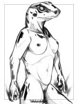  3:4 absurd_res amphibian anthro benjamin_ratterman black_and_white breasts female frog genitals hi_res looking_at_viewer magic magic_user monochrome non-mammal_breasts poison_dart_frog slim small_nipples smoke solo 