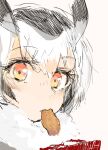  1girl bangs blush close-up closed_mouth custom_(cus-tom) expressionless eyebrows_visible_through_hair face food food_in_mouth from_side fur_collar hair_between_eyes kemono_friends looking_at_viewer looking_to_the_side mouth_hold multicolored multicolored_eyes multicolored_hair northern_white-faced_owl_(kemono_friends) orange_eyes owl_ears pink_background portrait short_hair simple_background snack solo white_hair yellow_eyes 