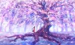  1girl black_hair boots cherry_blossoms dress fantasy flower forest grass highres light_particles long_hair low-tied_long_hair nature original outdoors petals profile sakimori_(hououbds) scenery solo tree 