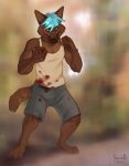  angry anthro blood blood_on_clothing blue_hair bodily_fluids bottomwear canid canine canis clothed clothing domestic_dog fighting_pose fist hair herding_dog hi_res male mammal pastoral_dog pose raised_arm raised_fist shorts snarling solo sowod standing 