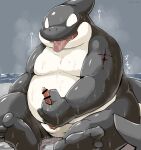  2021 anthro black_body bodily_fluids cetacean delphinoid genitals hi_res kemono male mammal marine masturbation oceanic_dolphin orca overweight overweight_male penis sitting solo sweat tongue tongue_out toothed_whale wanisuke white_body 