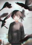  1girl aran_sweater asymmetrical_bangs bangs bird blurry blurry_background brown_eyes brown_hair chromatic_aberration closed_mouth commentary crow expressionless feathers grey_sweater hair_ornament highres iwakura_lain kouka_(mrakano5456) long_sleeves looking_at_viewer outdoors power_lines serial_experiments_lain short_hair single_sidelock solo sweater upper_body x_hair_ornament 