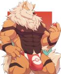  2021 abs absurd_res anthro arcanine biceps black_nose bulge clothed clothing fur genital_outline hi_res inner_ear_fluff male multicolored_body multicolored_fur muscular muscular_anthro muscular_male neck_tuft nintendo nipples o-ro pecs penis_outline pok&eacute;mon pok&eacute;mon_(species) solo speedo swimwear topless tuft two_tone_body two_tone_fur video_games 