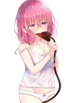  1girl biting blush breasts camisole cleavage clothed_masturbation commentary_request cowboy_shot crotch_rub demon_tail flower groin hair_between_eyes hair_flower hair_ornament highres masturbation medium_breasts medium_hair momo_velia_deviluke panties pink_eyes pink_hair solo strap_slip tail tail_biting tail_fondling tail_grab tail_in_mouth tail_masturbation to_love-ru underwear underwear_only white_camisole white_panties yuzuki4no 