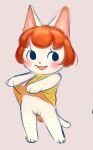  animal_crossing anthro blush clothed clothing clothing_lift domestic_cat dress dress_lift felicity_(animal_crossing) felid feline felis female genitals hair mammal niichan nintendo no_underwear open_mouth orange_hair presenting pussy simple_background smile solo standing video_games 