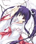  bracelet copyright_request cross-laced_clothes gohei hakama holding japanese_clothes jewelry long_hair long_sleeves looking_at_viewer magatama miko mitsumi_misato oonusa purple_hair red_eyes red_hakama ribbon-trimmed_sleeves ribbon_trim sidelocks snow snowing solo twintails 