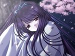  cherry_blossoms da_capo da_capo_i eyebrows_visible_through_hair game_cg hair_ribbon head_tilt konomiya_tamaki long_hair looking_at_viewer nanao_naru night petals purple_eyes purple_hair ribbon smile solo tree very_long_hair wide_sleeves 