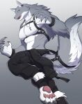  abs anthro biceps canid canine canis clothing fur hi_res male mammal muscular muscular_anthro muscular_male pecs solo velk wolf 