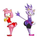  2014 amy_rose anthro axel-rosered big_butt blaze_the_cat bottomwear butt clothing domestic_cat dress duo eulipotyphlan felid feline felis female footwear gloves handwear hedgehog looking_back mammal pink_body purple_body rear_view shoes simple_background skirt sonic_the_hedgehog_(series) white_background 