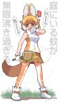  1girl anger_vein angry animal_ear_fluff animal_ears ankle_boots arm_at_side bangs bare_arms bare_shoulders boots bow bowtie breast_pocket breasts bright_pupils brown_hair brown_ribbon brown_skirt bug bug_zapper clenched_hand d: dated dhole_(kemono_friends) dog_ears dog_girl dog_tail dot_nose fang footwear_ribbon from_below from_side full_body fur_collar gloves grass heavy_breathing holding holding_racket insect jitome kemono_friends kemono_friends_3 legs_apart light_brown_hair lightning_bolt looking_at_viewer looking_to_the_side medium_breasts mosquito motion_lines multicolored_hair open_mouth orange_eyes orange_hair outdoors pleated_skirt pocket racket ribbon shaded_face shirt skirt sleeveless sleeveless_shirt solo spoken_anger_vein standing sweat tail thighhighs translation_request twitter_username two-tone_legwear two-tone_shirt v-shaped_eyebrows white_background white_bow white_footwear white_gloves white_hair white_legwear white_neckwear white_pupils white_shirt wiping_face wiping_sweat yamai zettai_ryouiki 