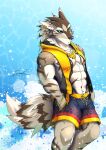  2019 abs anthro badtiger canid canine canis clothed clothing fur green_eyes hi_res jackal male mammal muscular piercing seth_(tas) solo summer tokyo_afterschool_summoners video_games 