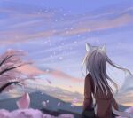  1girl absurdres akinakesu-chan animal_ears black_pants blurry blurry_background brown_jacket cloud cloudy_sky commentary_request depth_of_field facing_away flower grey_hair highres jacket long_hair long_sleeves mountain original outdoors pants petals pink_flower shirt sitting sky solo sunset tail tree_branch very_long_hair white_shirt wind 