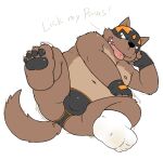  2021 anthro brown_body brown_fur bulge canid canine canis clothing domestic_dog english_text feet flappydog flappydog_(character) foot_fetish fur humanoid_hands kemono male mammal mask overweight overweight_male solo text tongue tongue_out underwear 