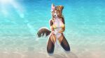  16:9 2021 5_fingers anthro beach breasts canid canine canis clothed clothing collie day detailed_background digital_media_(artwork) domestic_dog eyebrows eyelashes female fingers hair herding_dog hi_res mammal outside pastoral_dog sand seaside sheepdog shoreline smile solo water widescreen wyla 