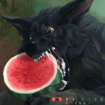  1:1 ambiguous_gender black_body black_fur black_lips black_nose brown_eyes canid canine canis eating fangs feral food fruit fur hi_res lips mammal melon open_mouth plant solo watermelon wavyrr wolf 