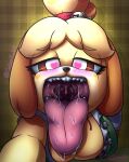 &lt;3 &lt;3_eyes animal_crossing aroused big_breasts big_tongue blush bodily_fluids breasts cabezilla canid canine canis detailed_mouth domestic_dog female female_pred hi_res imminent_vore isabelle_(animal_crossing) mammal mouth_shot nintendo open_mouth oral_invitation saliva shih_tzu tongue tongue_out toy_dog uvula video_games vore 