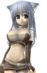  animal_ears asanagi belt blue_eyes blue_hair breasts brown_gloves cat_ears collar fang fingerless_gloves gloves hunter_(ragnarok_online) impossible_clothes impossible_shirt large_breasts long_hair midriff navel ragnarok_online shirt smile solo 